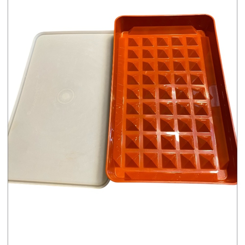 Tupperware hotdog / bacon / meat storage container.